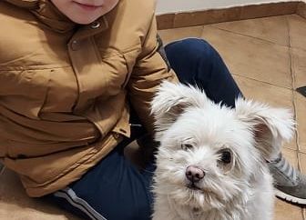 chłopiec siedzi z psem