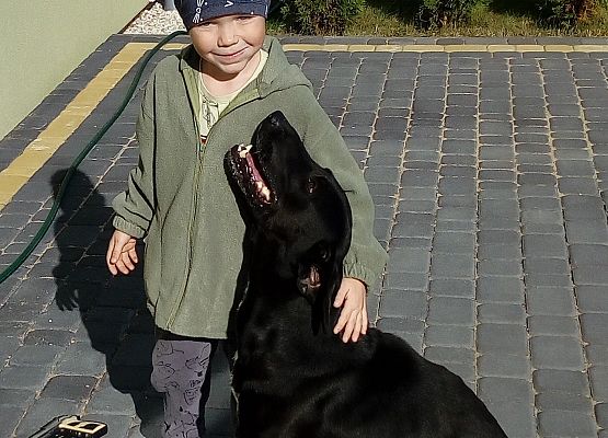 Dziewczynka z dużym psem