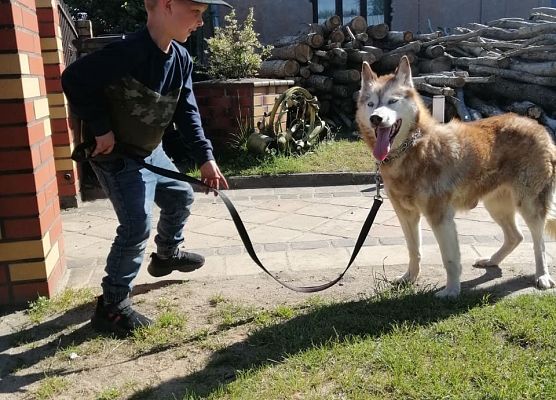 Chłopiec trzyma psa na smyczy