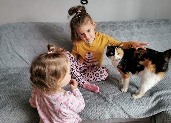 Dwie dziewczynki obok kolorowego kota