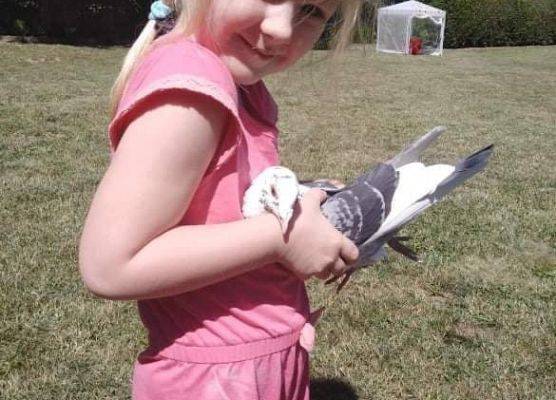 Dziewczynka trzyma gołębia
