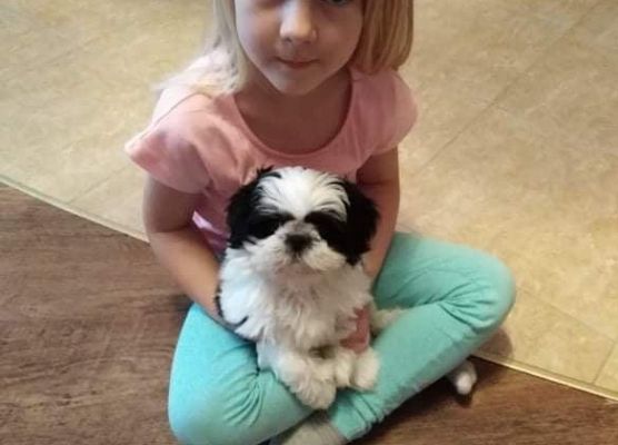 Dziewczynka trzyma na kolankach szczeniaka