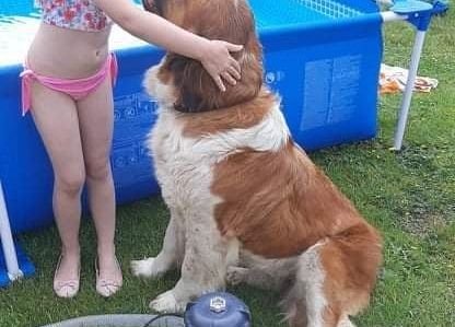 Dziewczynka stoi z wielkim psem