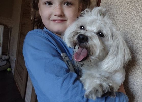Dziewczynka przytula białego pieska