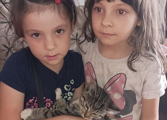Dziewczynki trzymają kotka