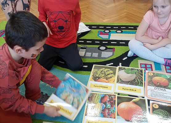 Dzieci poznają różne rodzaje dyń