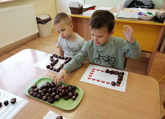 Chłopcy układają kasztany