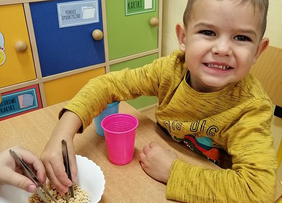 Chłopiec za pomocą pęsety przenosi groszki z miski do kubka