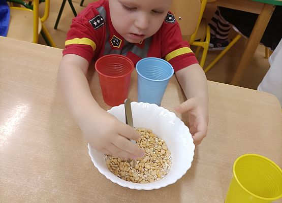 Chłopiec oddziela groch od innych nasion