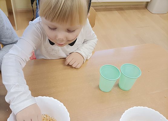 Dziecko przebiera groch