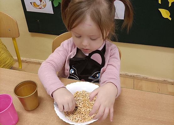 Dziecko przebiera groch