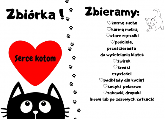 Plakat na temat zbiórki rzeczy i karmy dla kotów ze schroniska