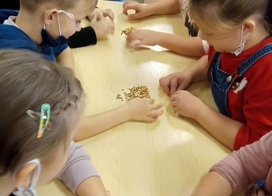 Uczniowie oddzielają groch i soczewicę