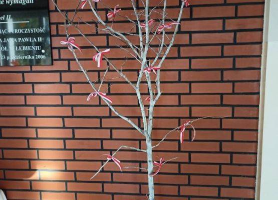 Drzewko patriotyczne w szkole