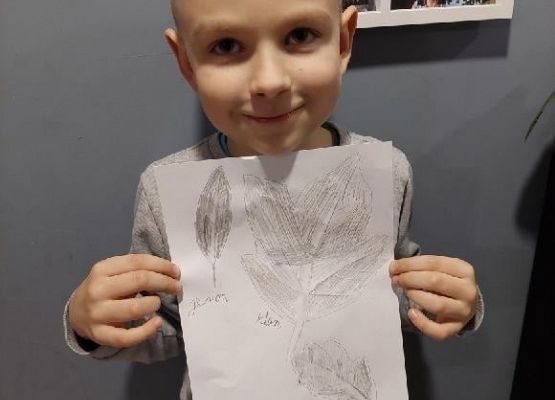 Uczeń prezentuje jesienne liście odrysowane na papierze
