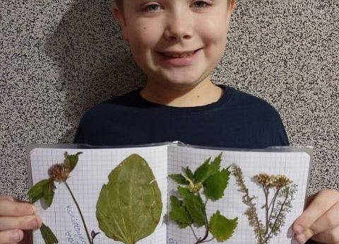 Uczeń prezentuje jesienny zielnik