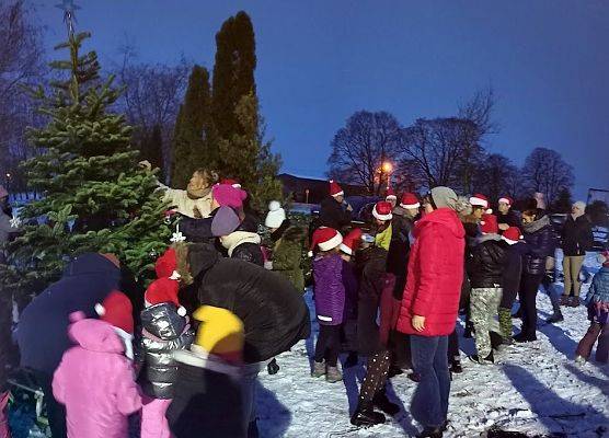 Grupa ludzi wspólnie ubiera choinkę