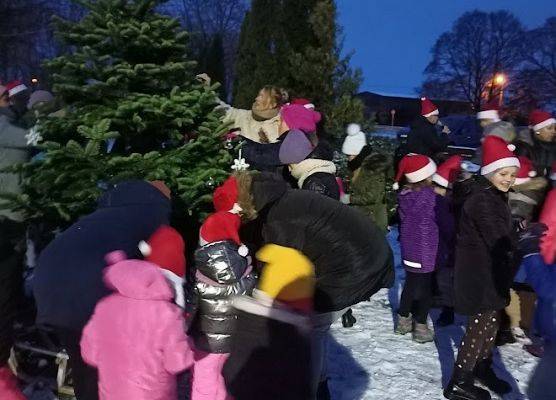 Grupa ludzi wspólnie ubiera choinkę