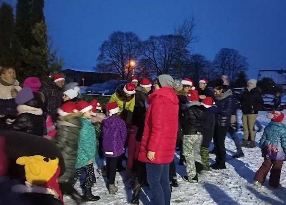 Grupa ludzi wspólnie ubiera choinkę