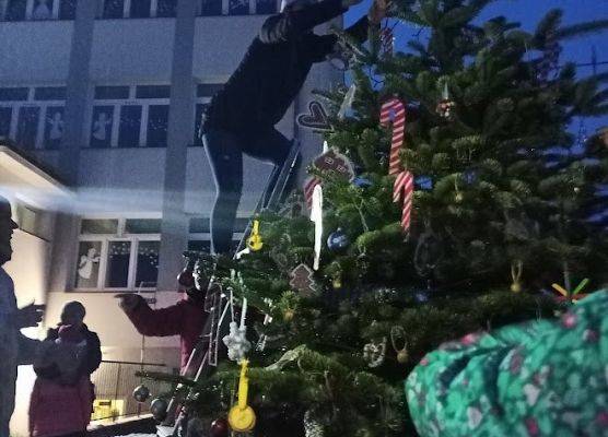 Osoba na drabinie zawiesza ozdoby na choince