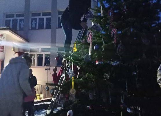 Osoba na drabinie zawiesza ozdoby na choince