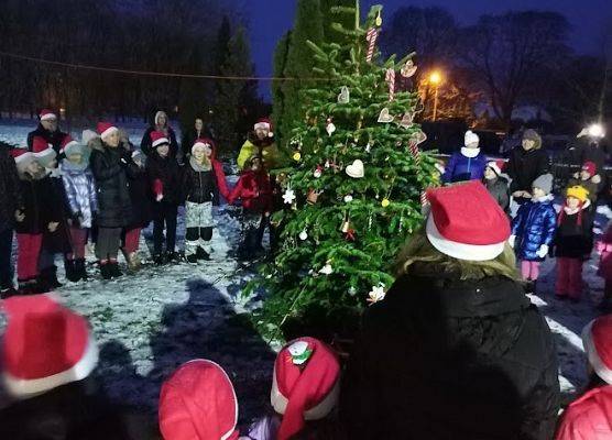 Grupa osób ustawiona w kręgu wokół choinki