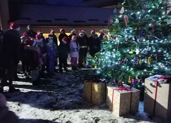 Rozświetlona choinka na placu przed szkołą