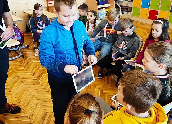 Uczeń prezentuje gatunki pająków