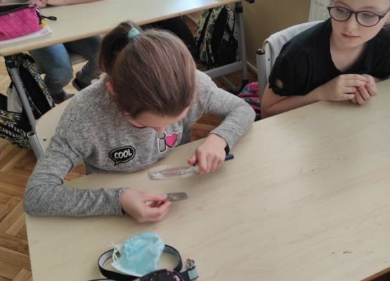 Grafika 28: LEKCJA PRZYRODY W KLASACH I - III