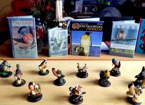 Grafika 1: Dokarmiamy ptaki zimą