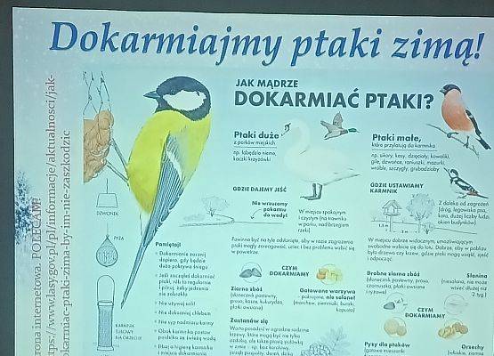 Grafika 2: Dokarmiamy ptaki zimą