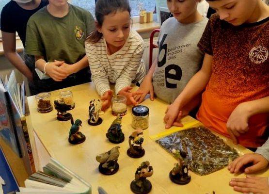 Grafika 4: Dokarmiamy ptaki zimą