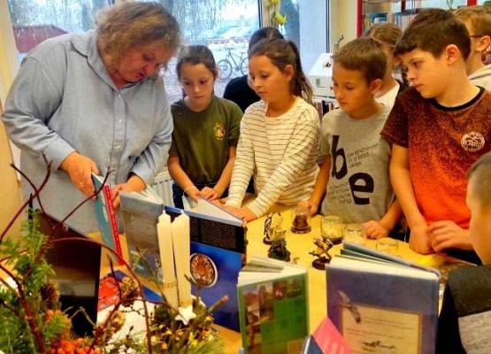 Grafika 6: Dokarmiamy ptaki zimą