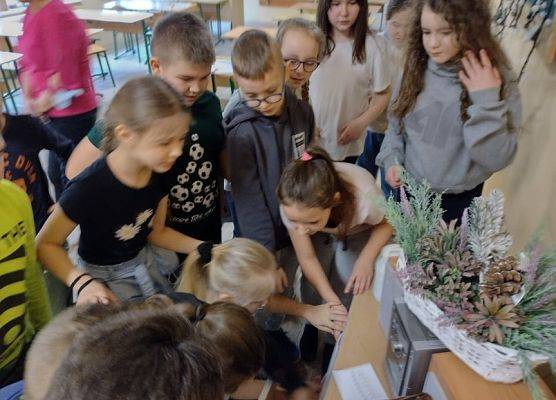 Uczniowie szukają wskazówki