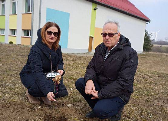 Dyrektor i nauczycielka wsadzili drzewko w dołek