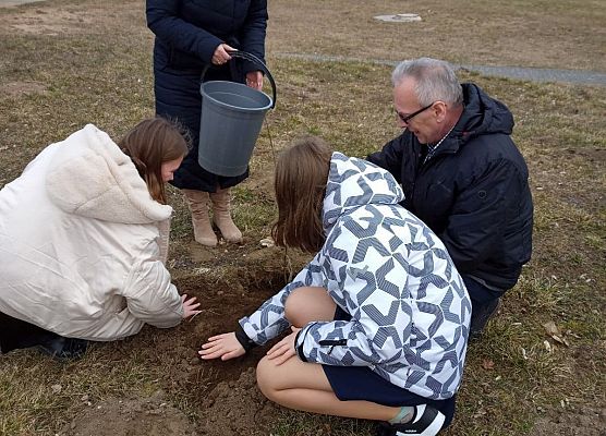 Dyrektor z uczennicami przysypują ziemią sadzonkę a nauczycielka podlewa wodą