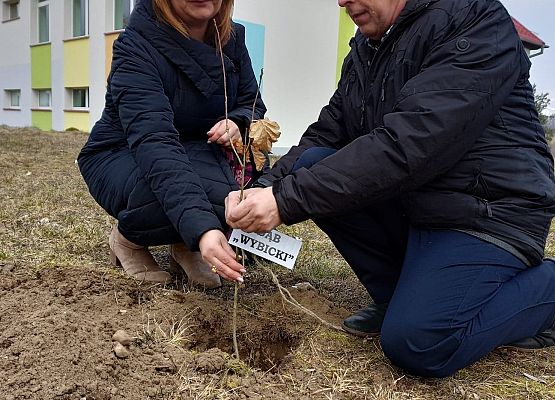 Dyrektor i nauczycielka wsadzili drzewko w dołek