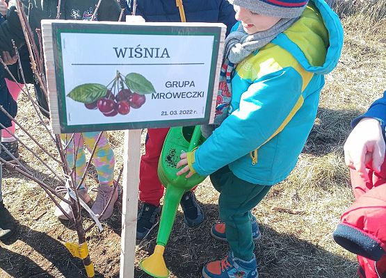 Chłopiec podlewa wsadzone drzewo