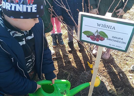 Chłopiec podlewa wsadzone drzewo
