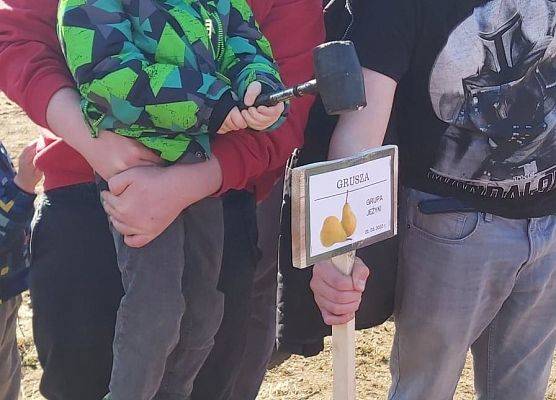 Chłopiec wbija w ziemię tabliczkę