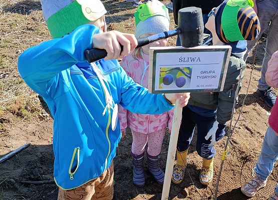 Chłopiec wbija tabliczkę