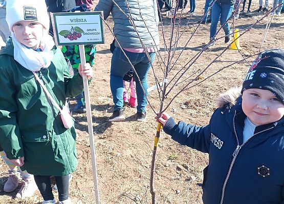 Dzieci prezentują wsadzone drzewko i tabliczkę z nazwą drzewa