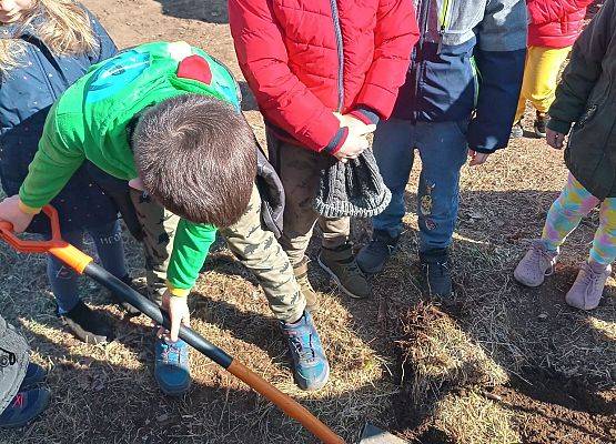 Dzieci sadzą drzewka