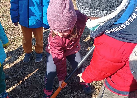 Dzieci sadzą drzewka