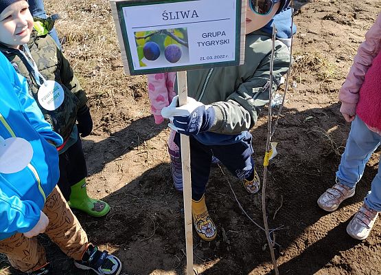 Dziecko wbija tabliczkę