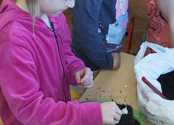 Dziewczynki sadzą cebulki w doniczkach