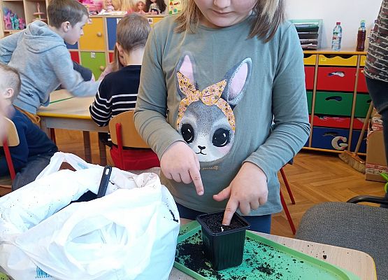 Dziewczynka sadzi cebulki