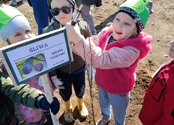 Dziewczynka wbija tabliczkę z nazwą drzewka owocowego