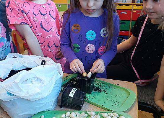 Dziewczynki sadzą cebulki