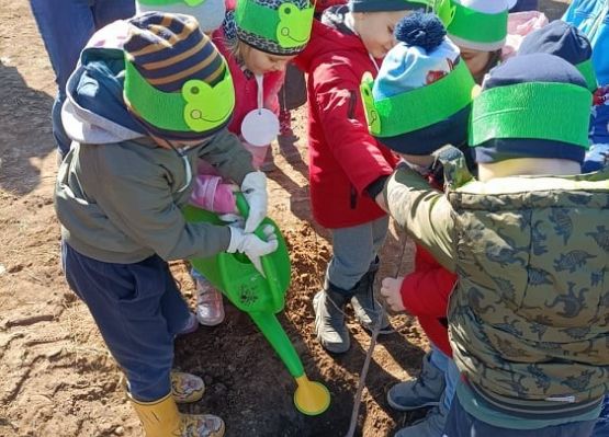 Dzieci podlewają drzewko